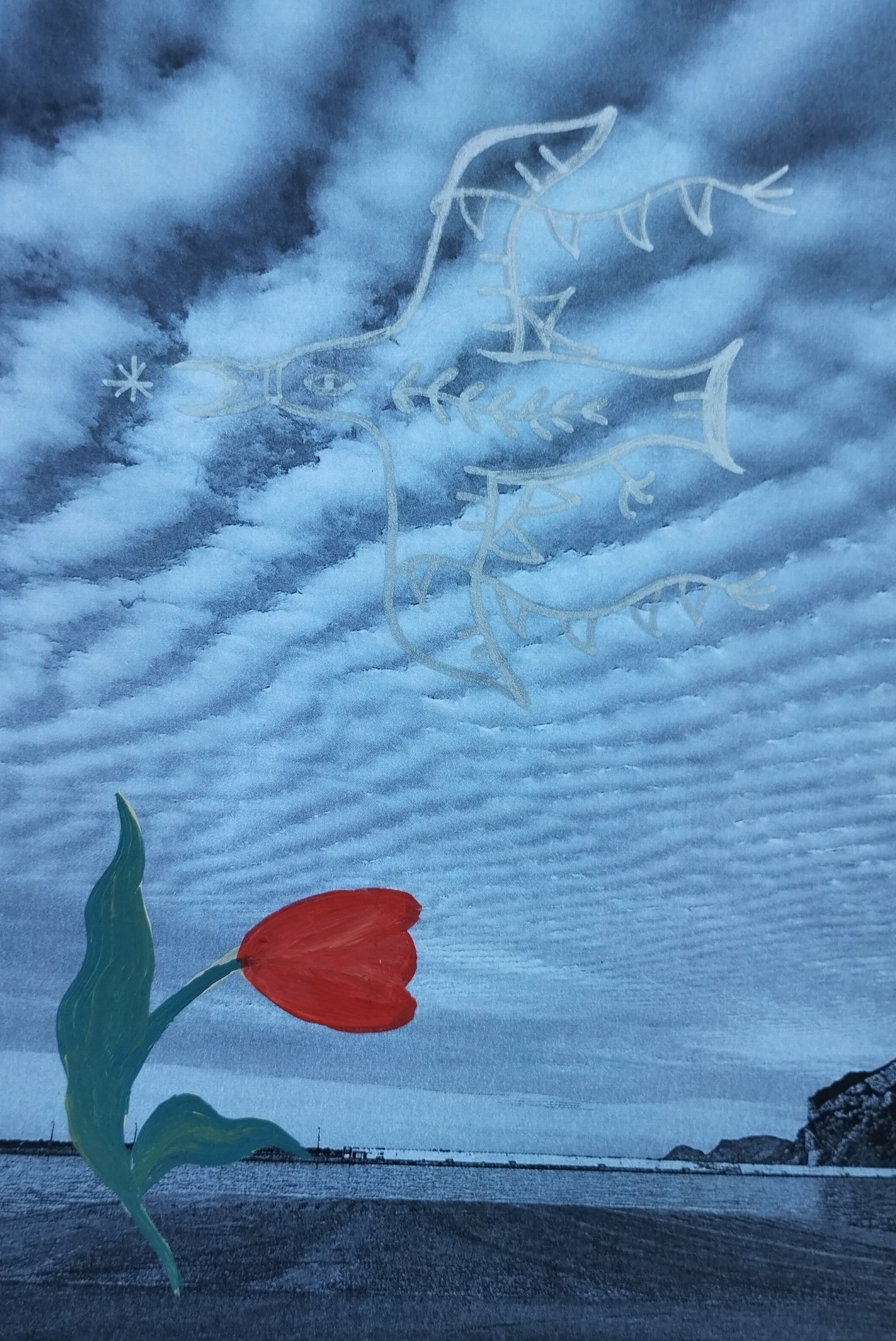 Clouds