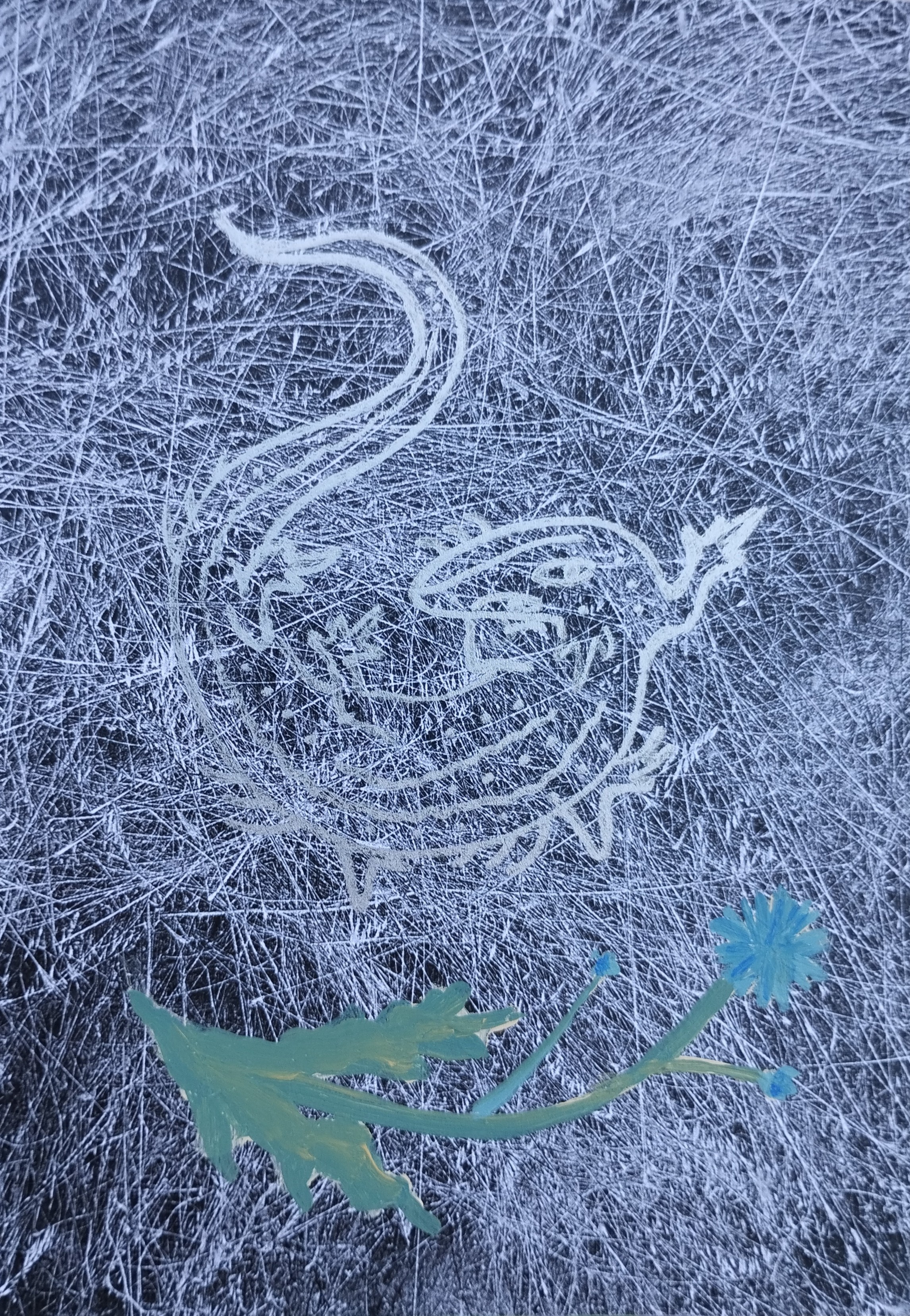 Lizard