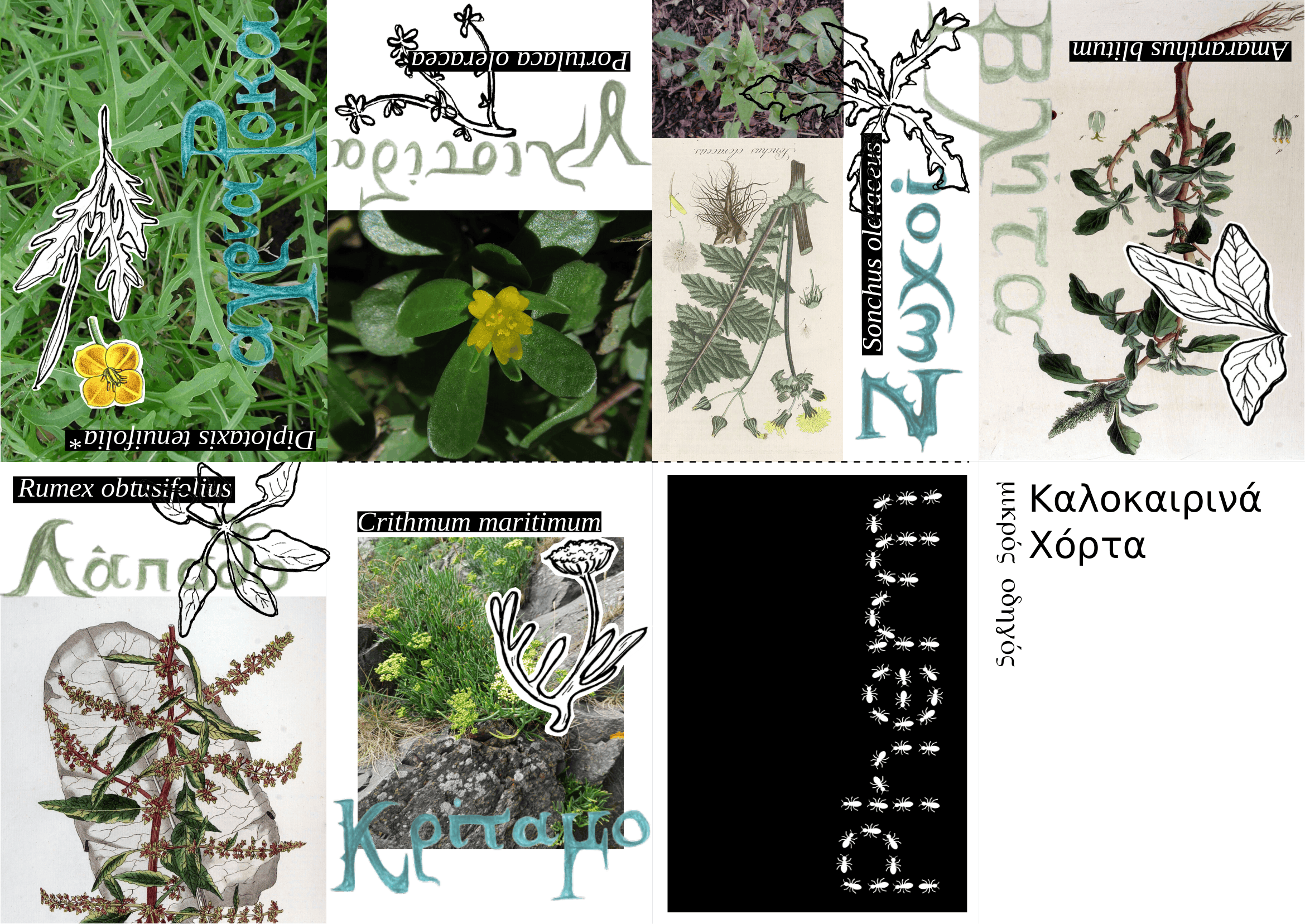 Summer Edible Weeds, a small guide (GR)